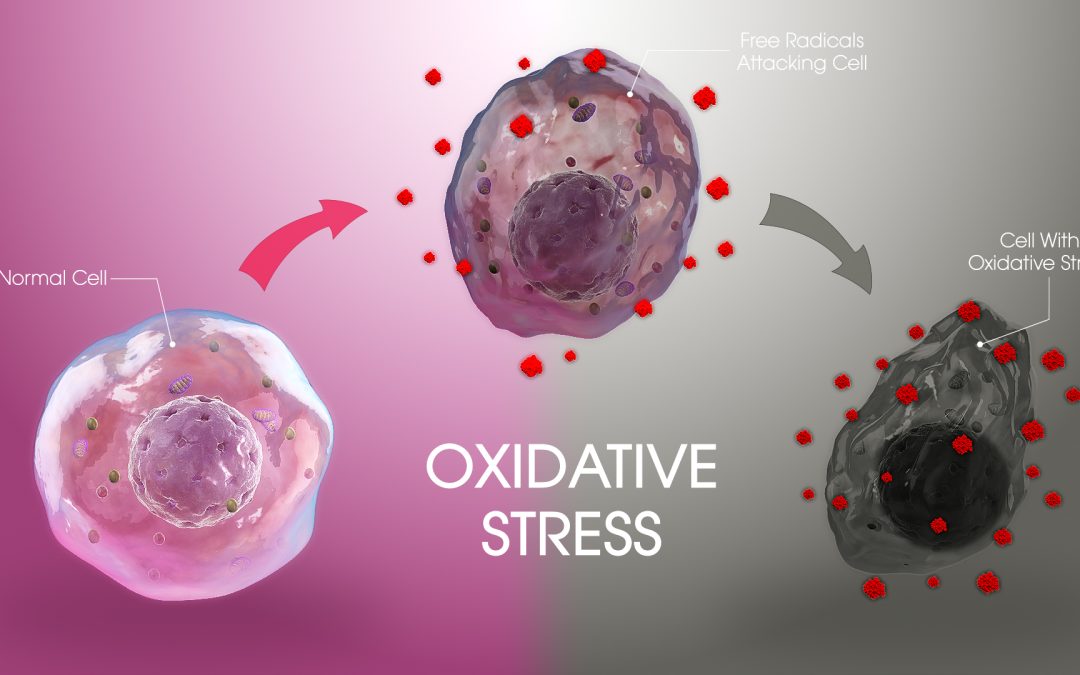 RISK FACTORS FOR OXIDATIVE STRESS?